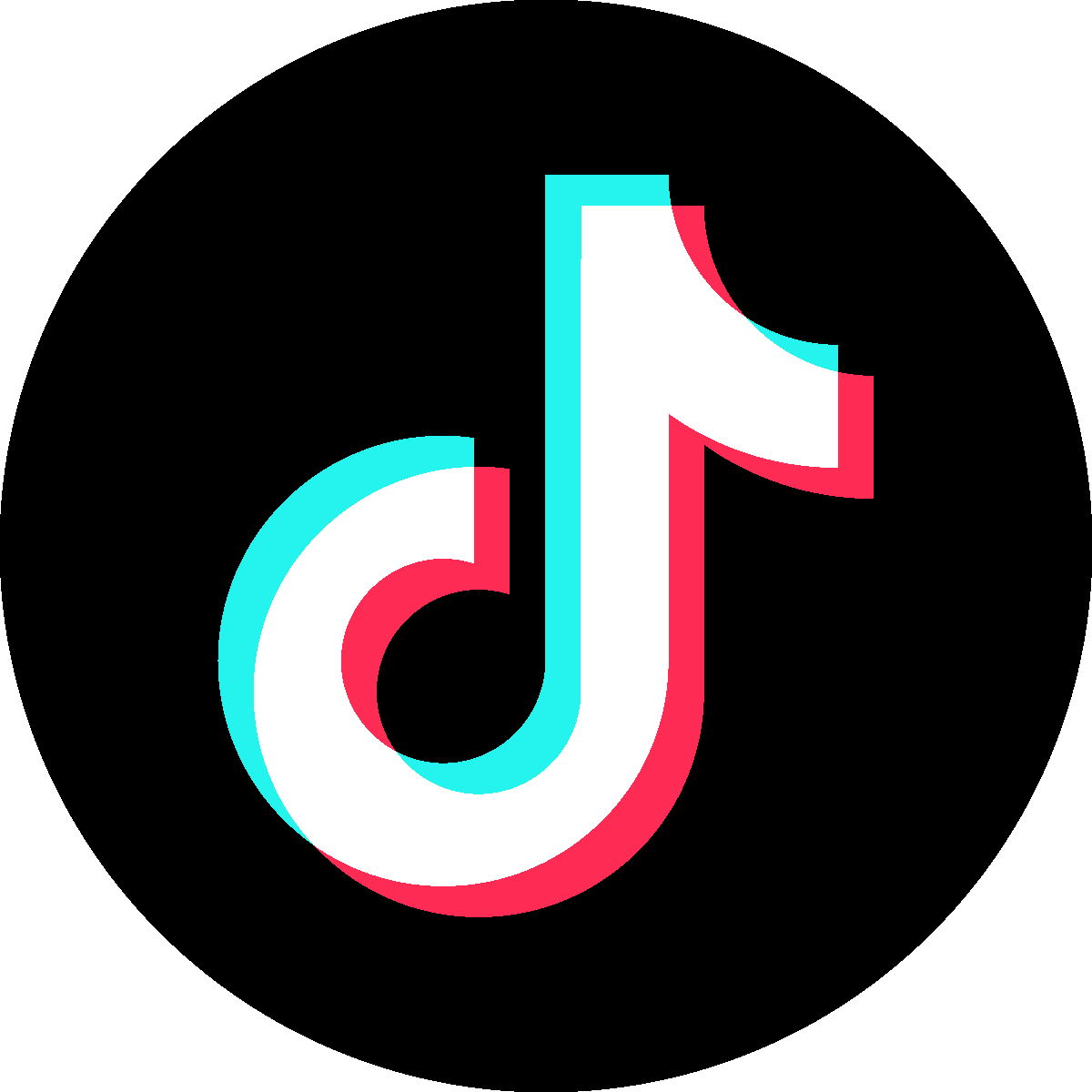 Tiktok Icon